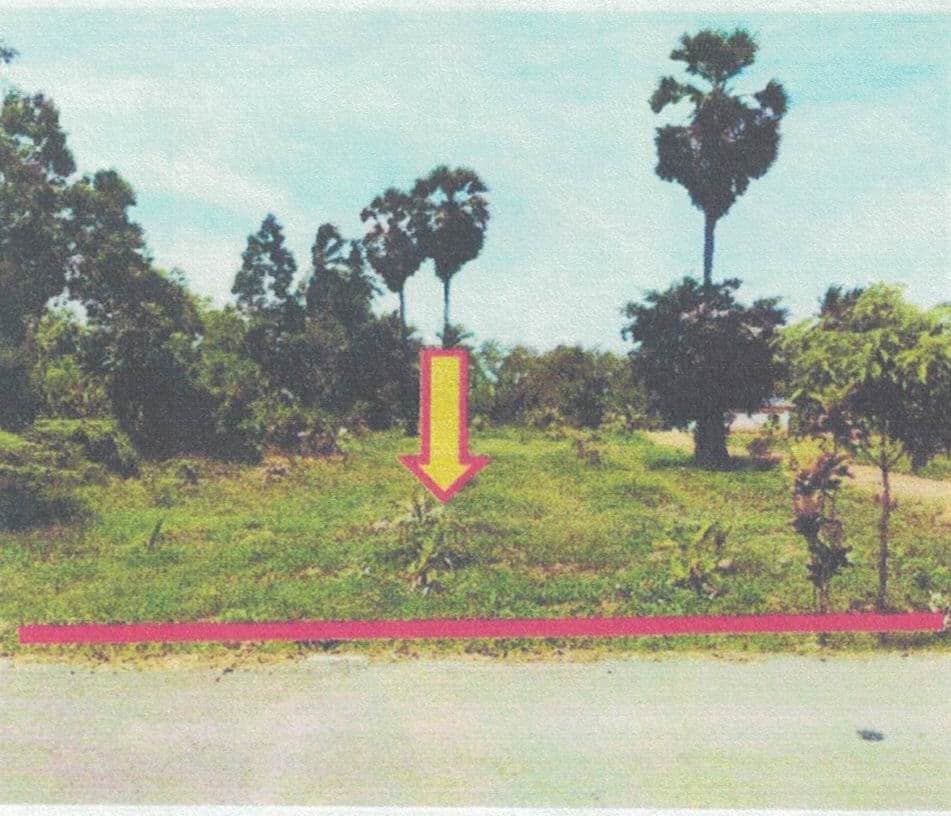 ขายทอดตลาด ที่ดินตามหนังสือรับรองการทำประโยชน์