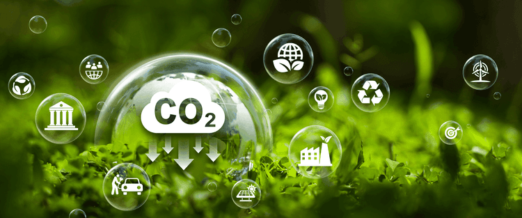 waste-management_hero-banner_2.4-1_desktop.png
