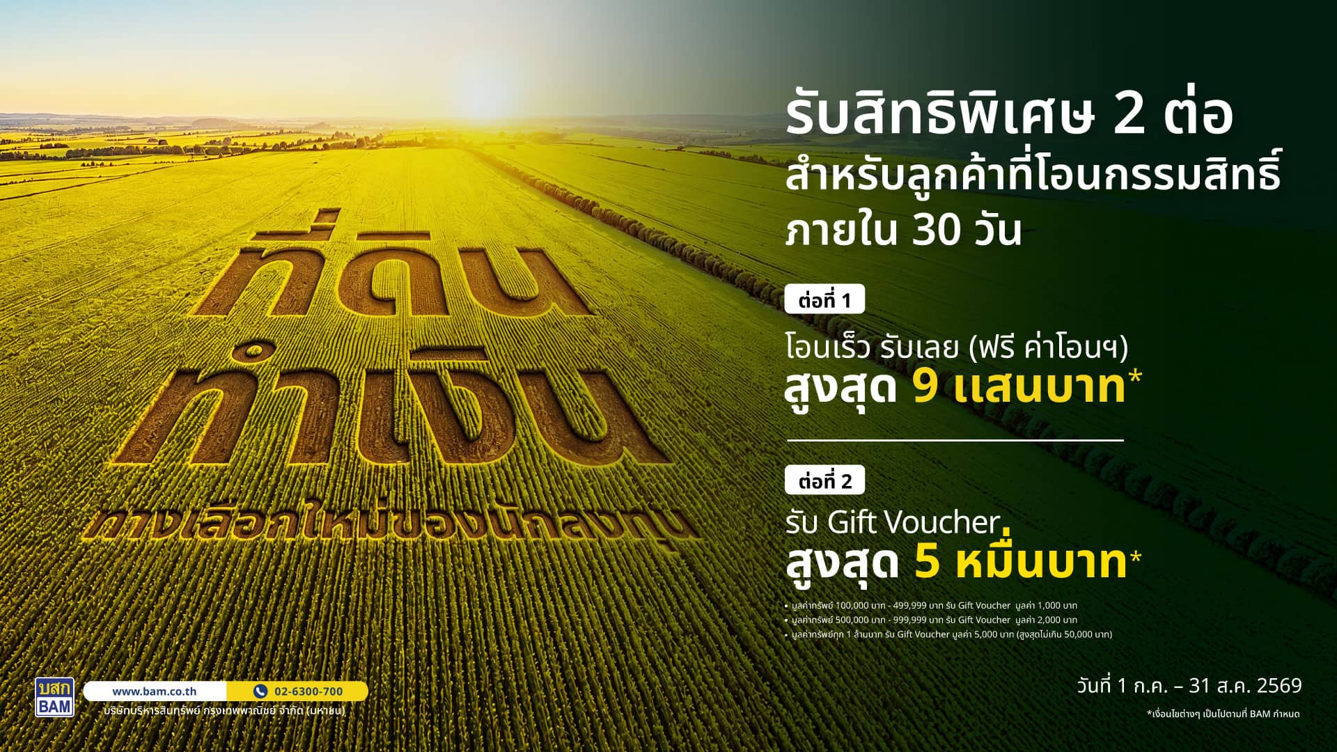 Land for Profit